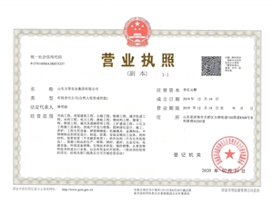 山東方原實(shí)業(yè)集團(tuán)有限公司