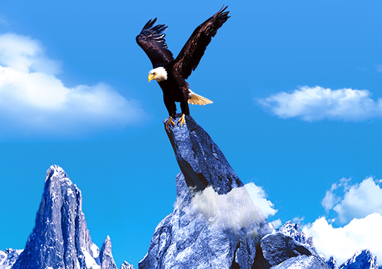 方原實(shí)業(yè)集團(tuán)有限公司